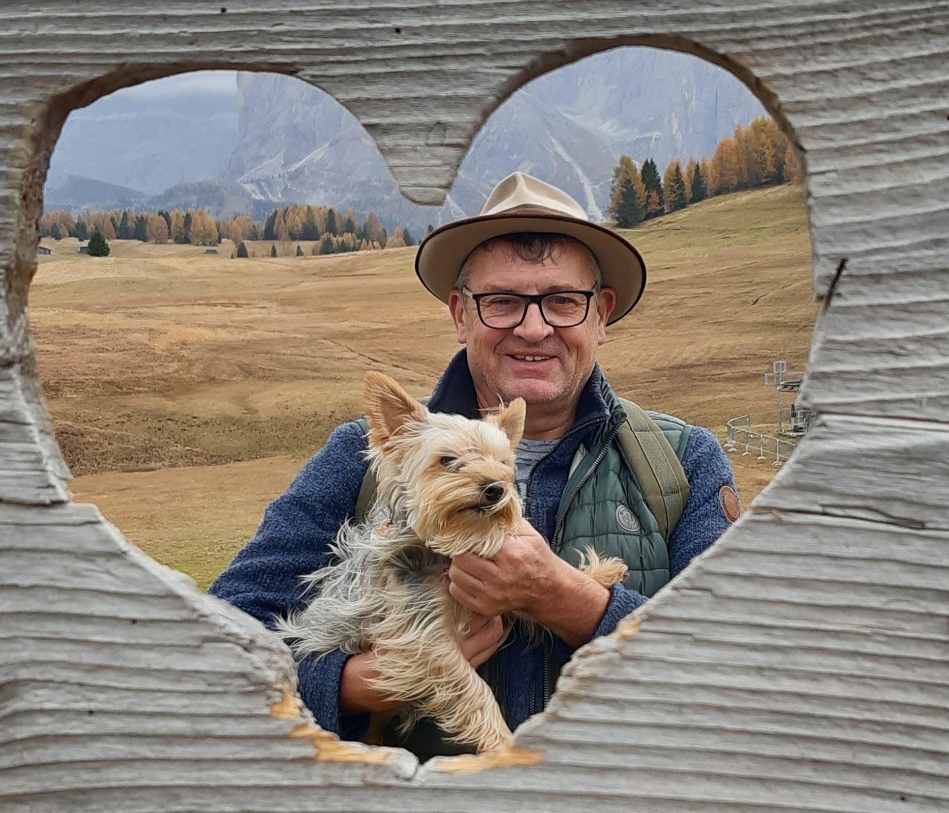 Reisen mit Hund und Katze
